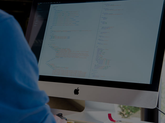 Software Services